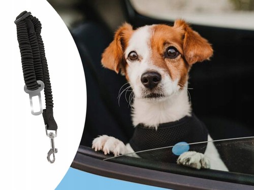 Hunde gurt auto anschnallgurt - hunde-gurt,
