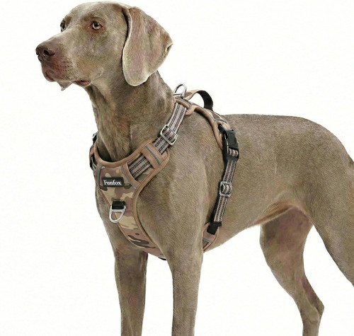 Hundegeschirr für extra - für,