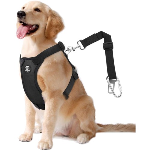 Hundegeschirr hundeweste auto - hundeweste,
