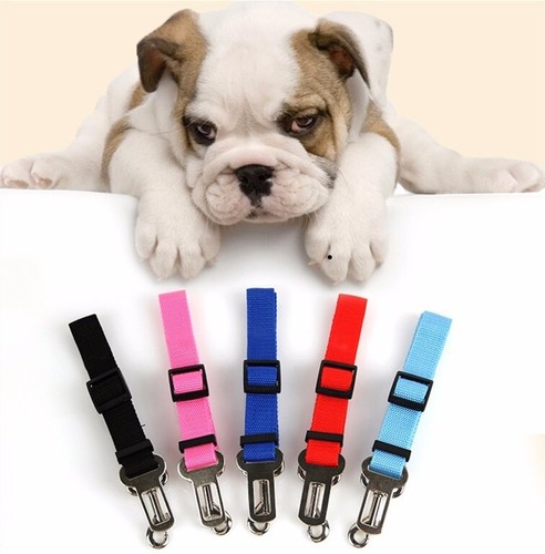 Hunde verstellbar - hunde,