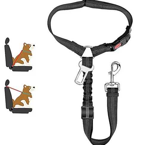 2in1 hundegeschirr mit leine - 2in1,