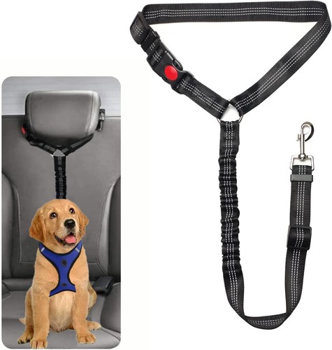 Sicherheitsgeschirr hund - sicherheitsgeschirr,