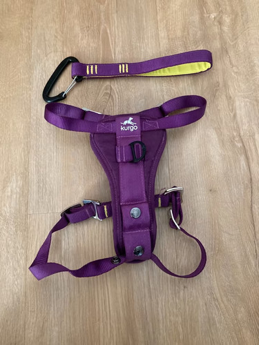 Hundegeschirr geschirr hund - geschirr,