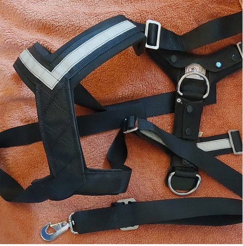 Sicherheit fur hund und fahrer - sicherheit,