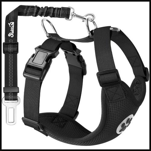 Hundegeschirr schwarz mit - hundegeschirr,