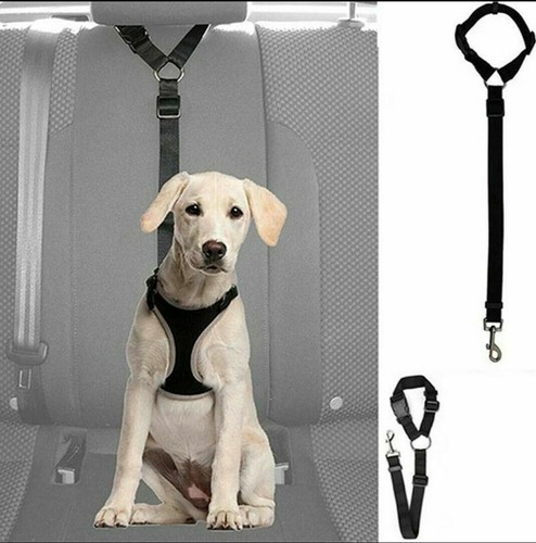 Verstellbar hunde katzen - verstellbar, hunde/katzen
