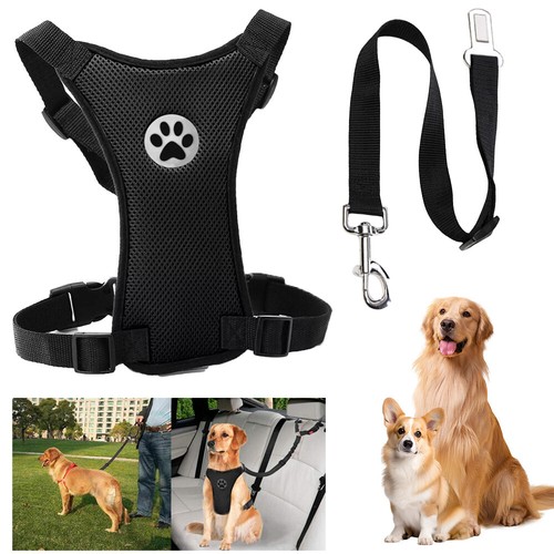Kfz hunde sicherheitsgurt auto - hunde,