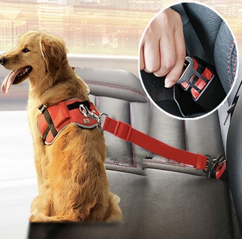 Hunde katze sicherheitsgurt - hunde/katze,