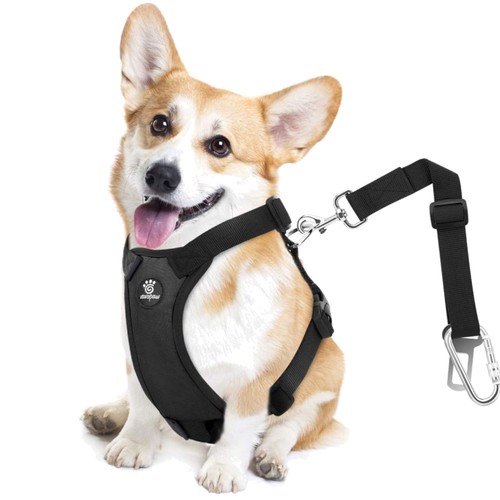Hundegeschirr auto sicherheit - auto,