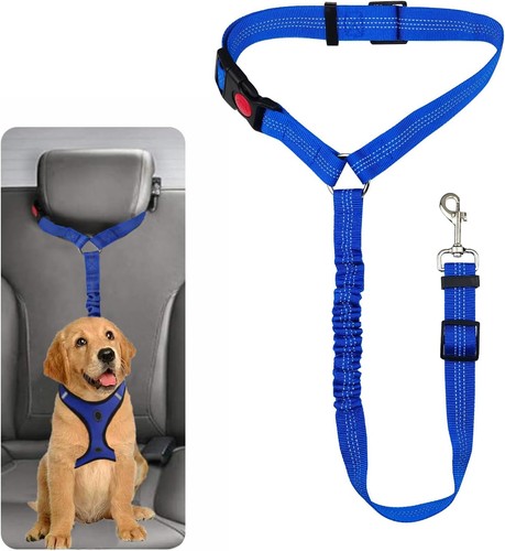 Sicherheitsgeschirr hund - sicherheitsgeschirr,