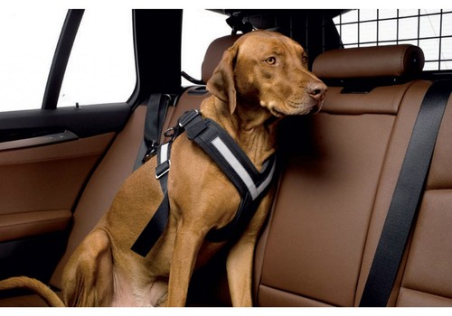 Kleinmetall allsafe hunde - kleinmetall,