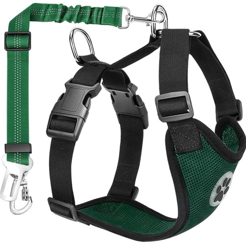 Hundegeschirr auto hund - auto,