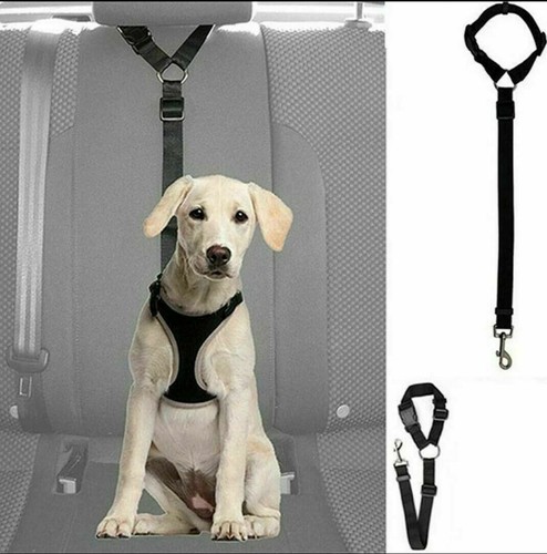 Verstellbar hunde katzen - verstellbar, hunde/katzen