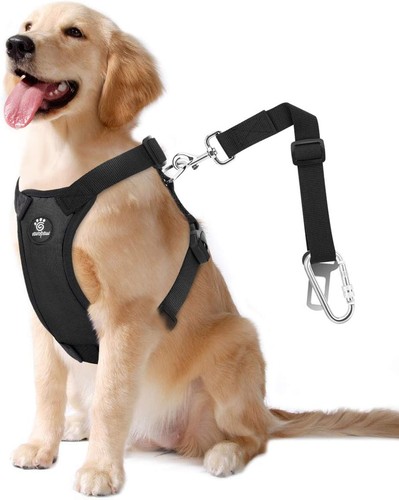 Vavopaw hunde - vavopaw,